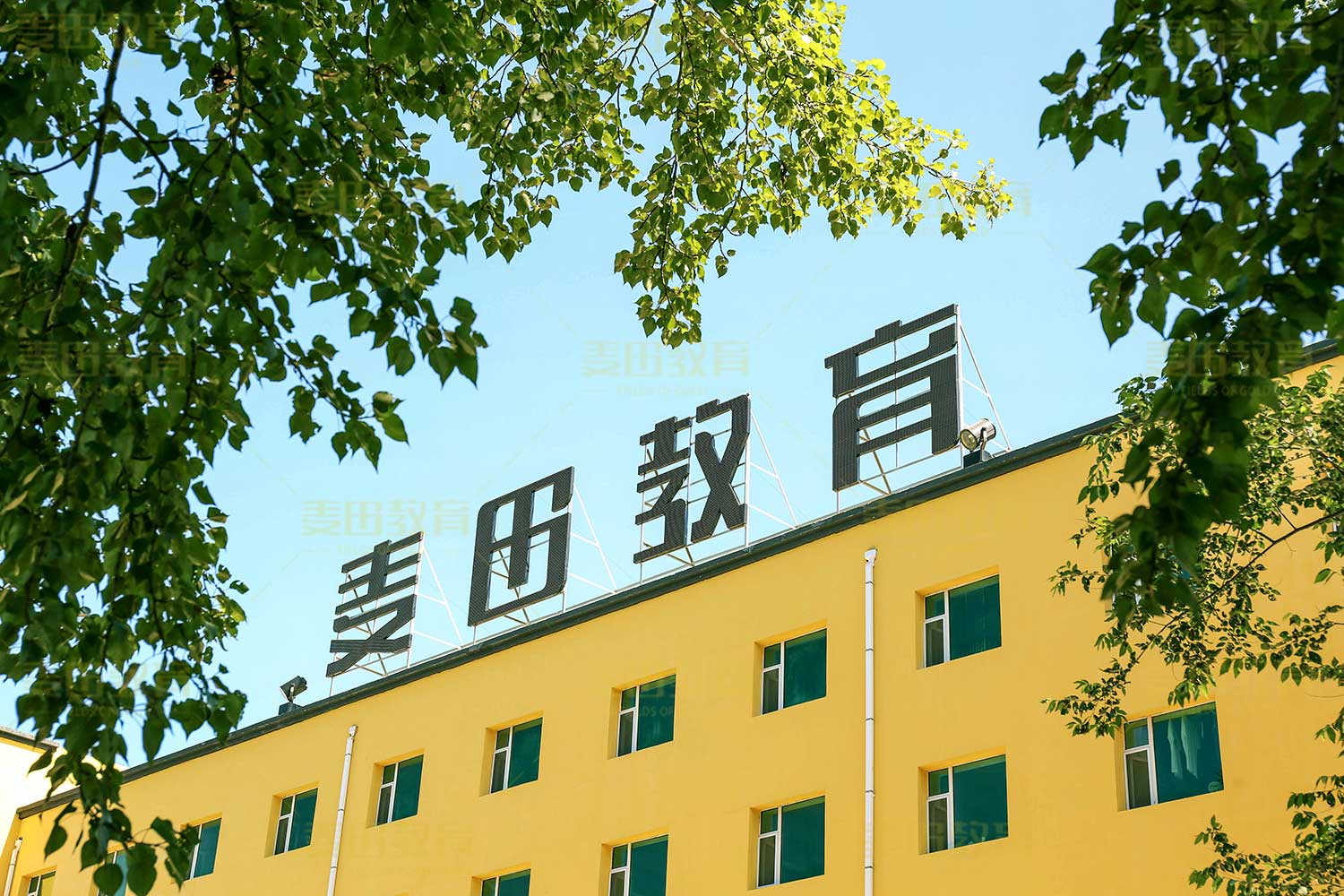 长春九台区艺考文化课全日制补习学校